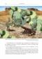Preview: Die Gila-Krustenechse – Heloderma suspectum